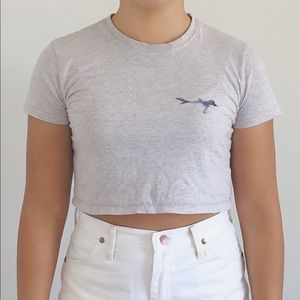 Brandy Melville gray crop top
